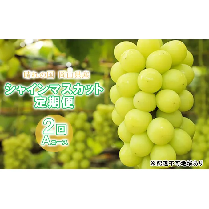 ぶどう 2024年 先行予約 晴れの国 岡山県産 シャインマスカット定期便 2回コース-A フルーツ 果物 岡山