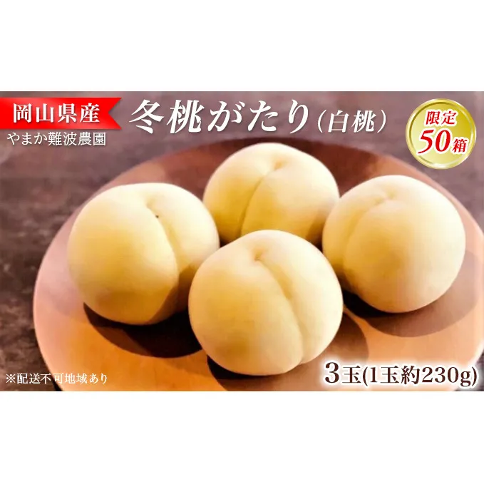 【限定50箱】冬桃がたり（白桃）約230g×3玉 岡山県 フルーツ もも 桃 モモ ピーチ 人気 新鮮 フルーツ 桃 デザート フルーツ もも モモ ギフト くだもの 桃 もも 果物 桃 もも やまか難波農園