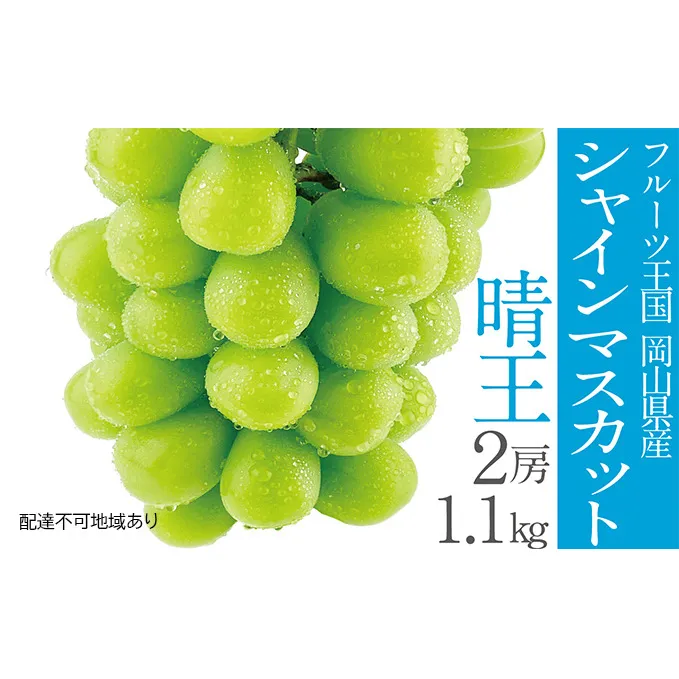 ぶどう 2024年 先行予約 シャイン マスカット 晴王 2房（合計約1.1kg） 晴れの国 おかやま 岡山県産 フルーツ王国 果物王国