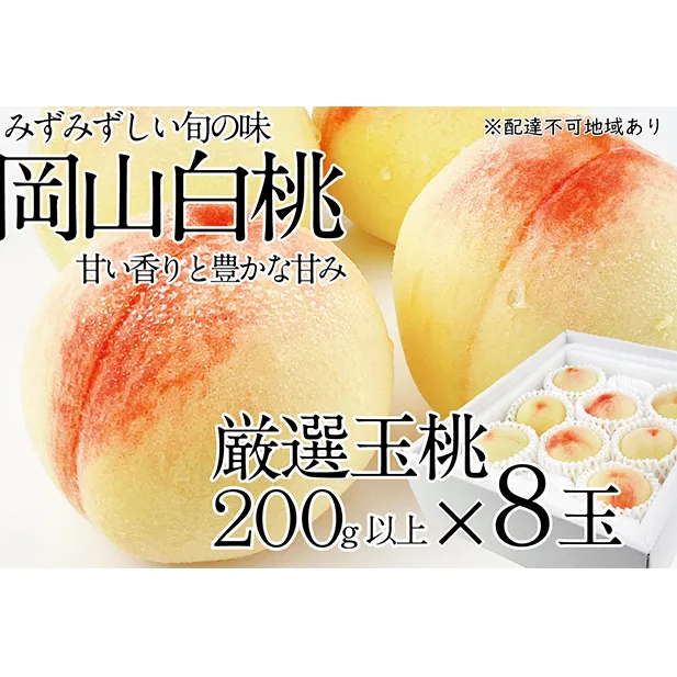 桃 2024年 先行予約 岡山の白桃 200g以上×8玉 白桃 旬 みずみずしい 晴れの国 おかやま 岡山県産 フルーツ王国 果物王国