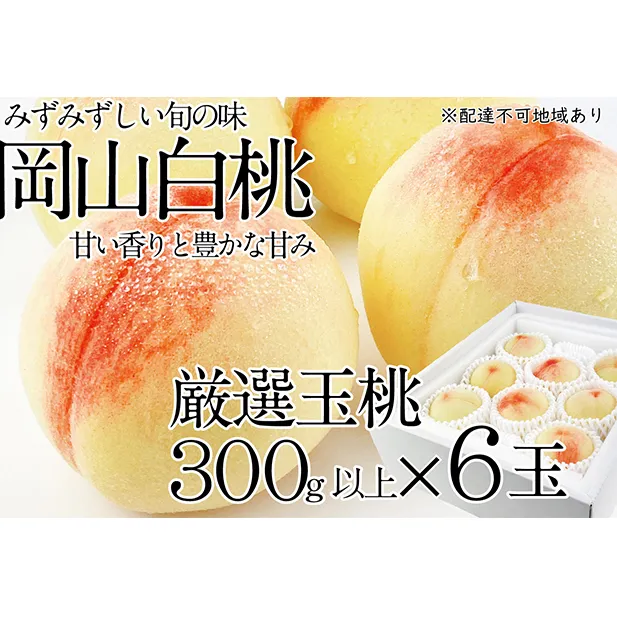 桃 2024年 先行予約 岡山の白桃 300g以上×6玉 白桃 旬 みずみずしい 晴れの国 おかやま 岡山県産 フルーツ王国 果物王国