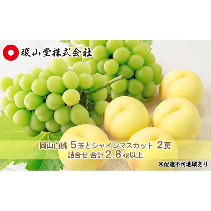 桃 ぶどう 2024年 先行予約 岡山 白桃 5玉とシャイン マスカット 2房 詰合せ 合計2.8kg以上 もも 葡萄 岡山県産 国産 フルーツ 果物 ギフト 環山堂