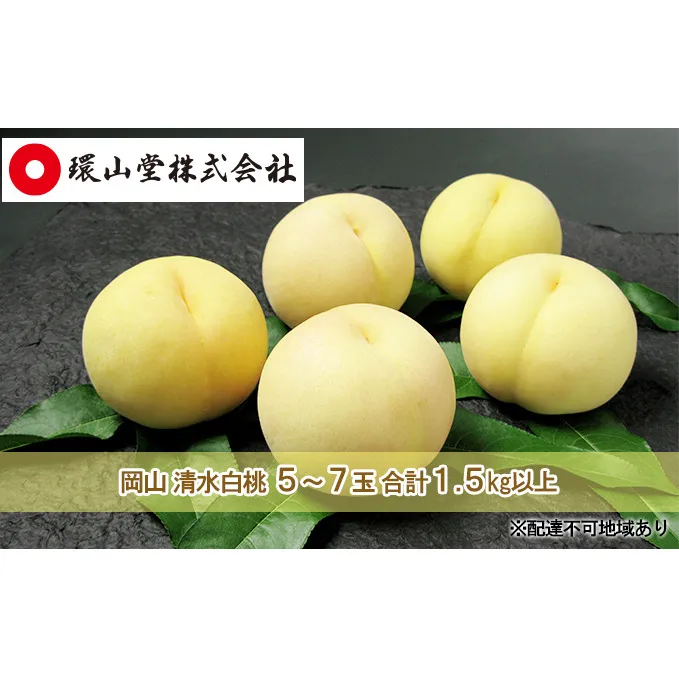 桃 2024年 先行予約 岡山 清水 白桃 5～7玉 合計1.5kg以上  もも モモ 岡山県産 国産 フルーツ 果物 ギフト 環山堂