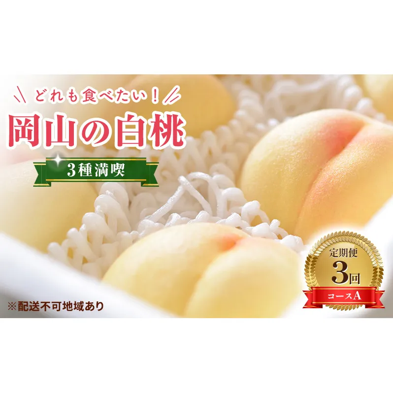 【2025年先行予約】 桃 岡山県産 どれも食べたい！岡山の桃 3種 満喫 プラン 3回 コースA ( 日川白鳳 ・ 白鳳 ・ 瀬戸内白桃 各1.5kg)《2025年6月上旬-8月下旬頃出荷》白桃 数量限定 期間限定 定期便