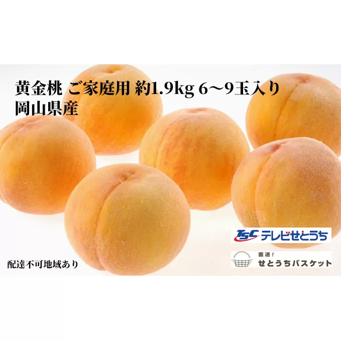 桃 2024年 先行予約 岡山 黄金桃 ご家庭用 約1.9kg 6～9玉入り もも モモ 岡山県産 国産 フルーツ 果物 直送！せとうちバスケット