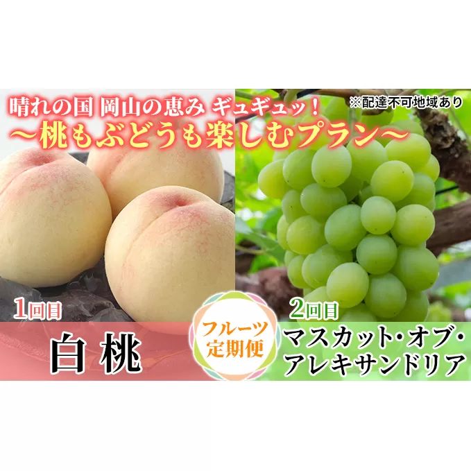 フルーツ 2024年 先行予約 定期便 晴れの国 岡山 の 恵み ギュギュッ！ ～ 桃 も ぶどう も楽しむ プラン ～ マスカット アレキサンドリア ぶどう ブドウ 桃 モモ もも 果物 フルーツ 旬 定期便