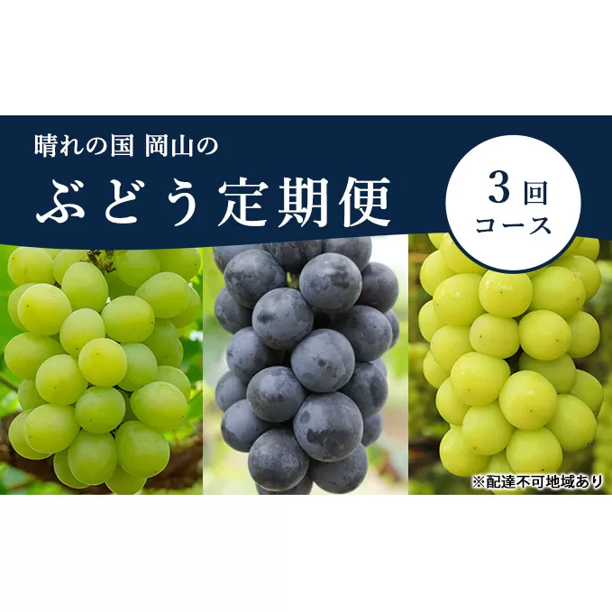 ぶどう 定期便 2024年 先行予約 晴れの国 岡山 の ぶどう定期便 3回コース 葡萄 ブドウ 岡山県産 国産 セット ギフト