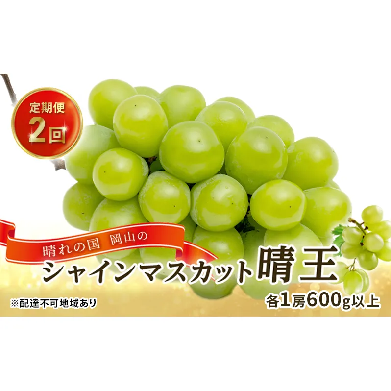 ぶどう 2024年 先行予約 晴れの国 岡山の シャイン マスカット 晴王 定期便 2回（各1房600g以上） 葡萄  岡山県産 国産 フルーツ 果物 ギフト