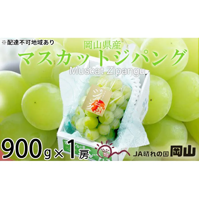 ぶどう 2024年 先行予約 マスカット ジパング 約900g×1房 ブドウ 葡萄  岡山県産 国産 フルーツ 果物 ギフト