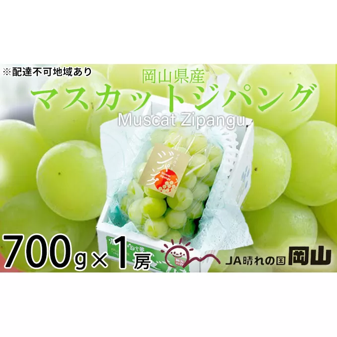 ぶどう 2024年 先行予約 マスカット ジパング 約700g×1房 ブドウ 葡萄  岡山県産 国産 フルーツ 果物 ギフト