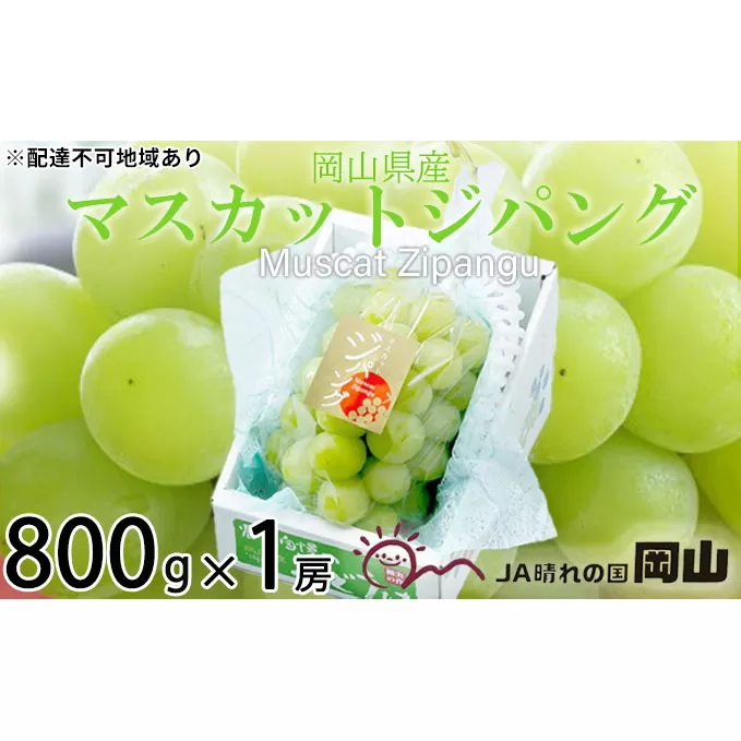 ぶどう 2024年 先行予約 マスカット ジパング 約800g×1房 ブドウ 葡萄  岡山県産 国産 フルーツ 果物 ギフト