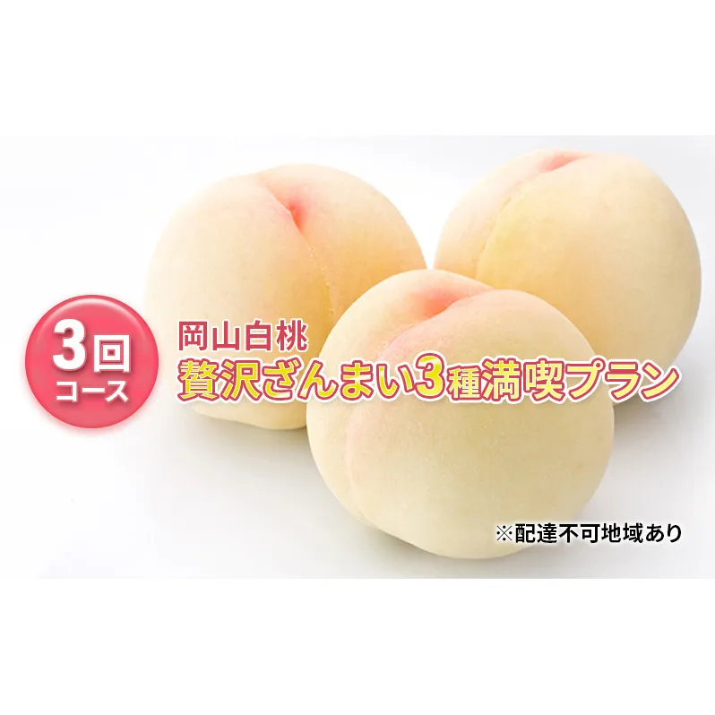 桃 【2025年先行予約】 岡山県産 贅沢 ざんまい 3種 満喫 プラン 3回 コース( 白鳳 ・ 清水白桃 ・白麗 各2kg) 白桃 岡山 フルーツ 果物 先行予約 数量限定 期間限定里庄町 モモ もも