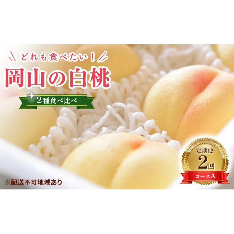 【2025年 先行予約】桃 岡山県産 岡山 白桃 2種 食べ比べ プラン 2回 コースA ( 白鳳 ・ 清水白桃 各1.5kg) 《2025年7月上旬-8月上旬頃出荷》 白桃 岡山 数量限定 期間限定 岡山 里庄町 モモ もも 桃 定期便