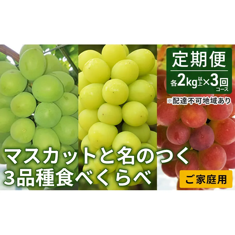 ぶどう 2024年 先行予約 ご家庭用 マスカット と名のつく3 品種 食べくらべ 定期便 3回 コース （各2kg以上）