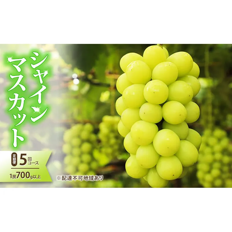 ぶどう 2024年 先行予約 岡山県産 シャインマスカット 1房(約700g以上) 定期便 5回 コース フルーツ 果物 シャインマスカット フルーツ ぶどう ブドウ マスカット フルーツ 種なし フルーツ 旬 定期便