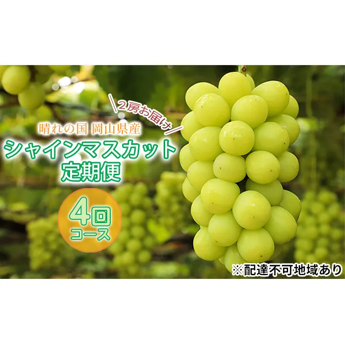 ぶどう 2024年 先行予約 晴れの国 シャインマスカット 2房 定期便 4回 コース 葡萄 岡山 国産 フルーツ 果物 シャインマスカット フルーツ ぶどう ブドウ フルーツ 種なし シャインマスカット 旬 定期便