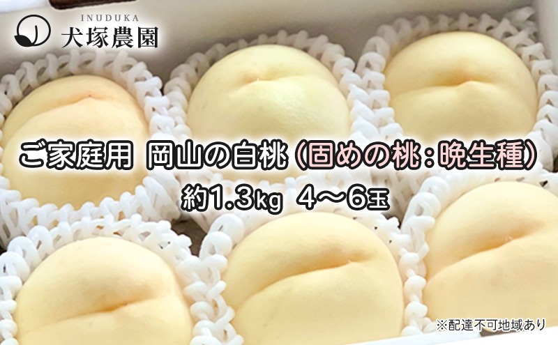 固めの 桃 2024年 先行予約 ご家庭用 岡山 の 白桃 （晩生種）約1.3kg