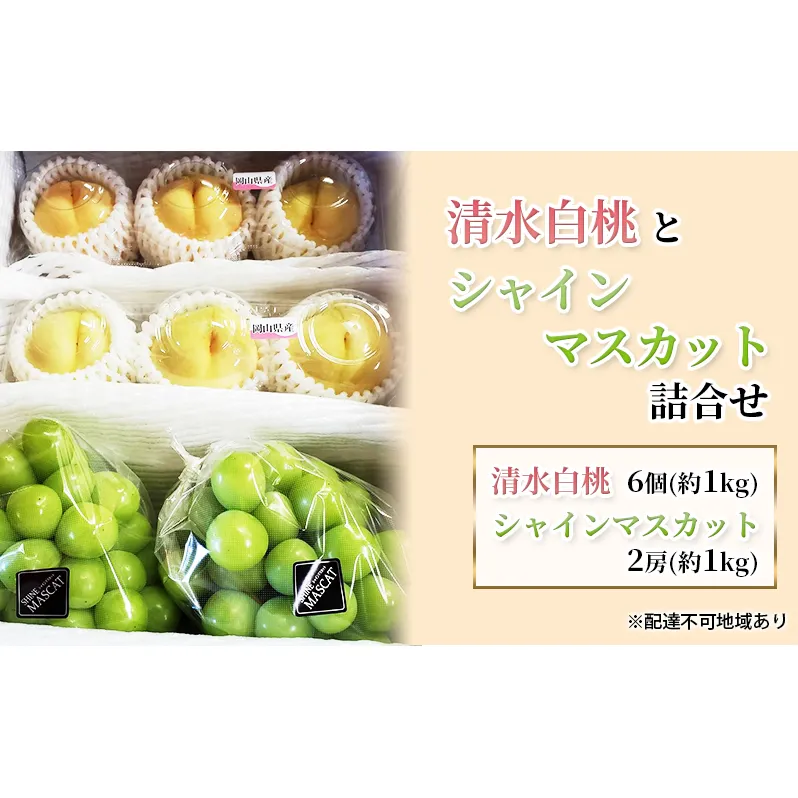 【2025年先行予約】桃 ぶどう 岡山県産 清水白桃（6個・約1kg）と シャインマスカット （2房・約1kg） 詰合せ セット 《2025年7月下旬-8月中旬頃出荷》 もも モモ 葡萄 ブドウ フルーツ 果物 数量限定