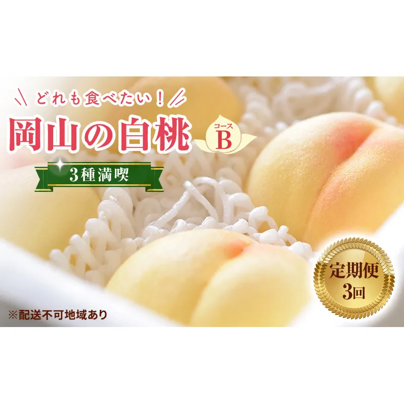 【 2025年 先行予約 】桃 岡山県産 どれも食べたい！岡山 白桃 3種 満喫 プラン 3回 コースB ( 白鳳 ・ 清水白桃 ・ 瀬戸内白桃 各1.2kg)《2025年7月上旬-8月下旬頃出荷》フルーツ 果物 里庄町