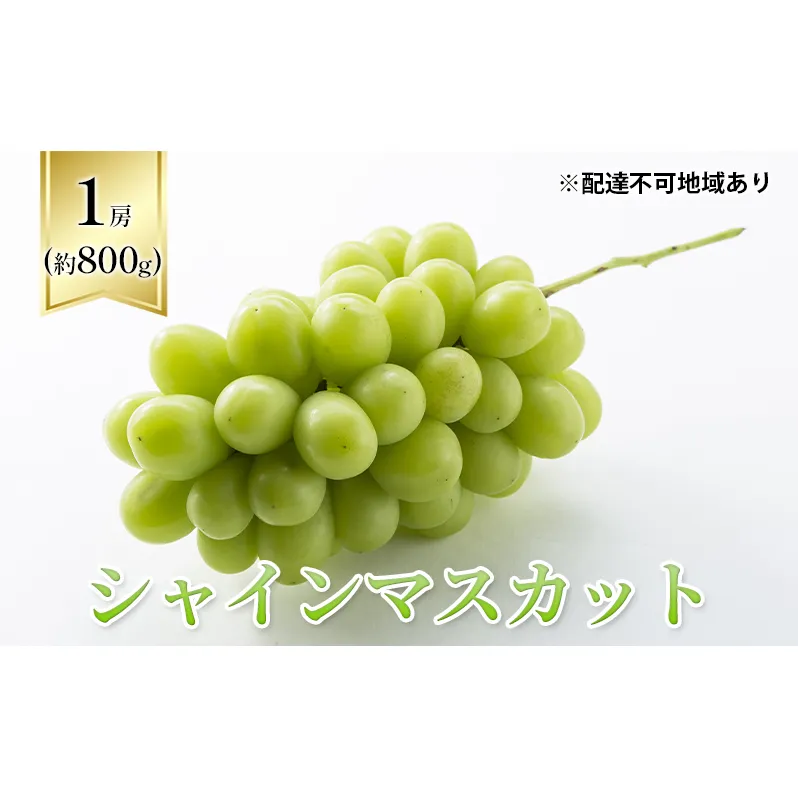 【2025年先行予約】 ぶどう 岡山県産 シャインマスカット  1房箱（約800g） 《2025年10月中旬-11月下旬頃出荷》 葡萄 ブドウフルーツ 果物 スイーツ 数量限定 期間限定 岡山 里庄町 ブドウ ぶどう 葡萄