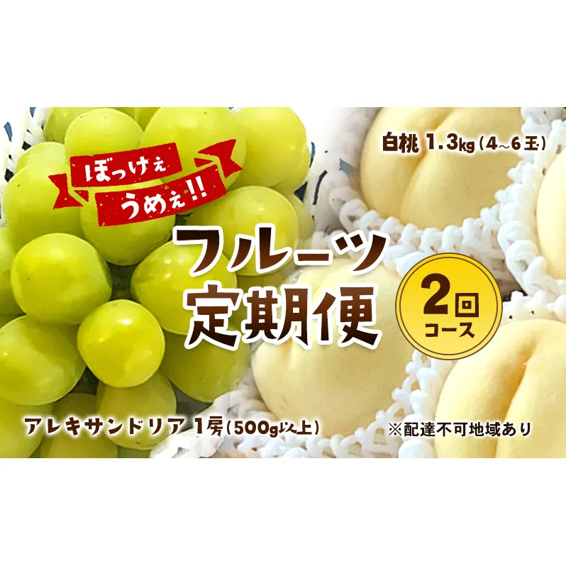 【2025年 先行予約】 ぶどう 桃 ぼっけぇうめぇ フルーツ 定期便 2回 コース ( マスカットオブアレキサンドリア ・ 白桃 )《2025年7月-9月出荷》 岡山県産 フルーツ 果物 数量限定 里庄町