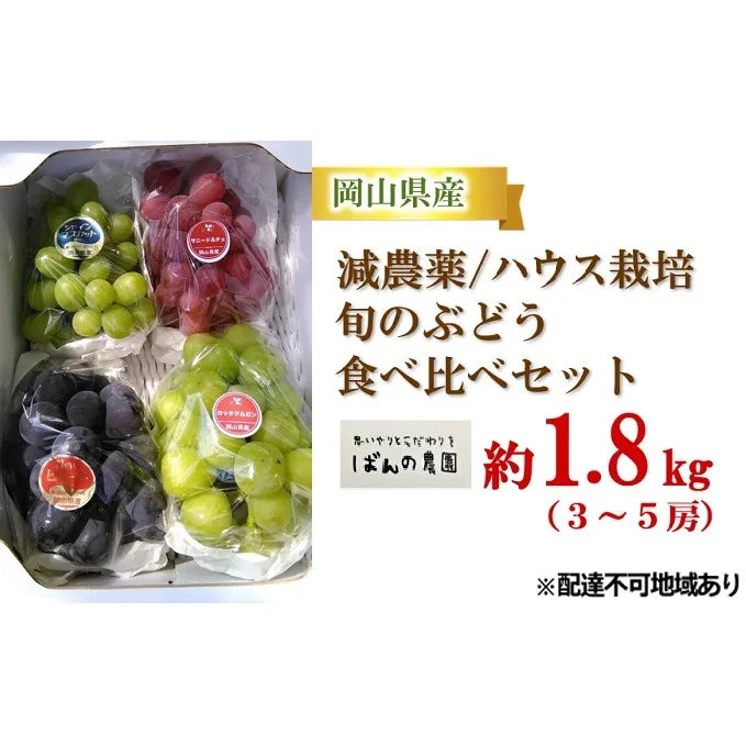 ぶどう 2024年 先行予約 旬のぶどう 食べ比べセット 約1.8kg 3～5房 減農薬／ハウス栽培 ブドウ 葡萄  岡山県産 国産 フルーツ 果物 ギフト ばんの農園