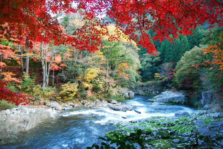 岡山県鏡野町