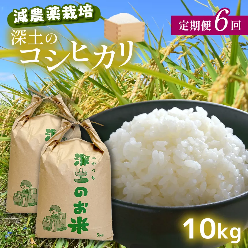 定期便6回 深土の特別米コシヒカリ 10kg×6(2ヶ月毎×6回) | 減農薬｜山口県美祢市