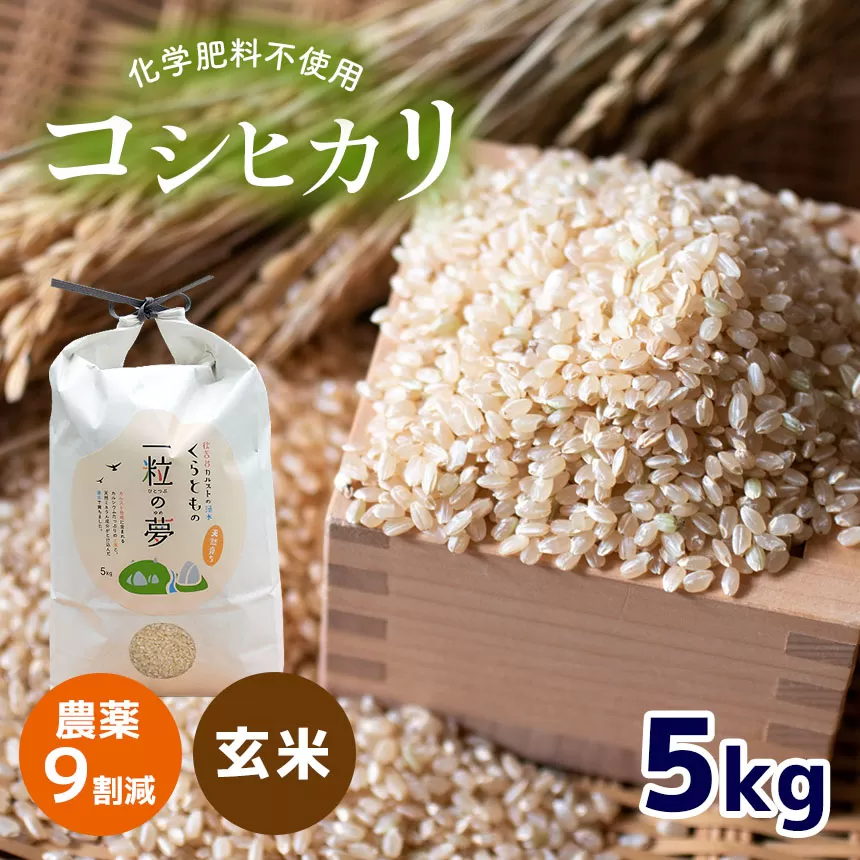 【ふるさと納税】 農薬9割減 ・ 化学肥料不使用 コシヒカリ(玄米)  5kg（10月中旬以降の発送） ｜ 有機農産物認証推進協会認定 玄米 お米 米 こしひかり 農薬減 美祢市 山口県 秋芳 カルスト台地 湧き水 ミネラル 結び家 くらとも