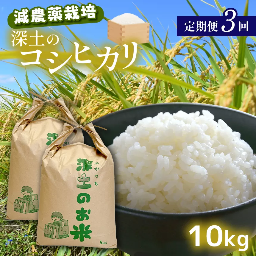 定期便3回 深土の特別米コシヒカリ 10kg×3(2ヶ月毎×3回) | 減農薬