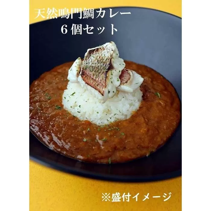 天然鳴門鯛カレー　6個セット