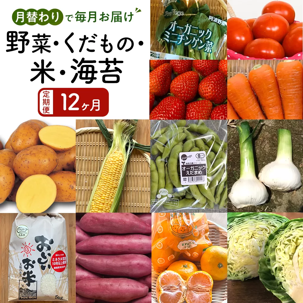 【12ヶ月定期便】野菜 くだもの 米（月替わりで毎月お届け）