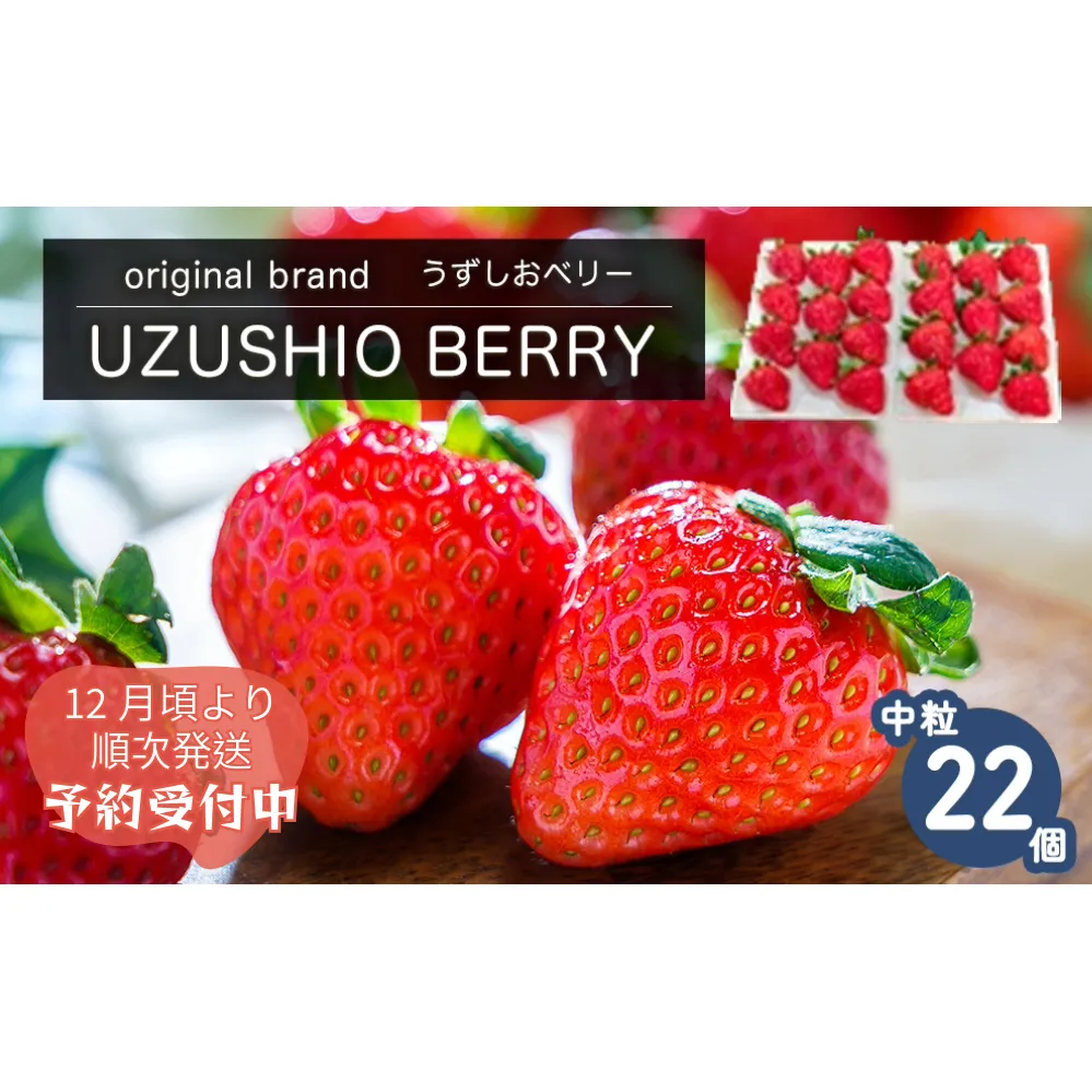 [朝摘みをお届け!][2024年12月頃より順次発送] フルーツガーデンやまがたのいちご「うずしおベリー」中粒22個 [数量限定] いちご フルーツ 果物 苺 イチゴ 旬の果物 季節の果物 鳴門の果物 季節のフルーツ 旬のフルーツ 鳴門のフルーツ 旬のいちご 鳴門のいちご