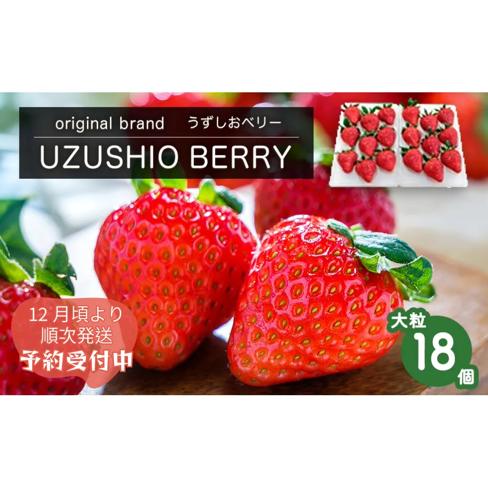 [朝摘みをお届け!][2024年12月頃より順次発送] フルーツガーデンやまがたのいちご「うずしおベリー」大粒18個 [数量限定] いちご フルーツ 果物 苺 イチゴ 旬の果物 季節の果物 鳴門の果物 季節のフルーツ 旬のフルーツ 鳴門のフルーツ 旬のいちご 鳴門のいちご