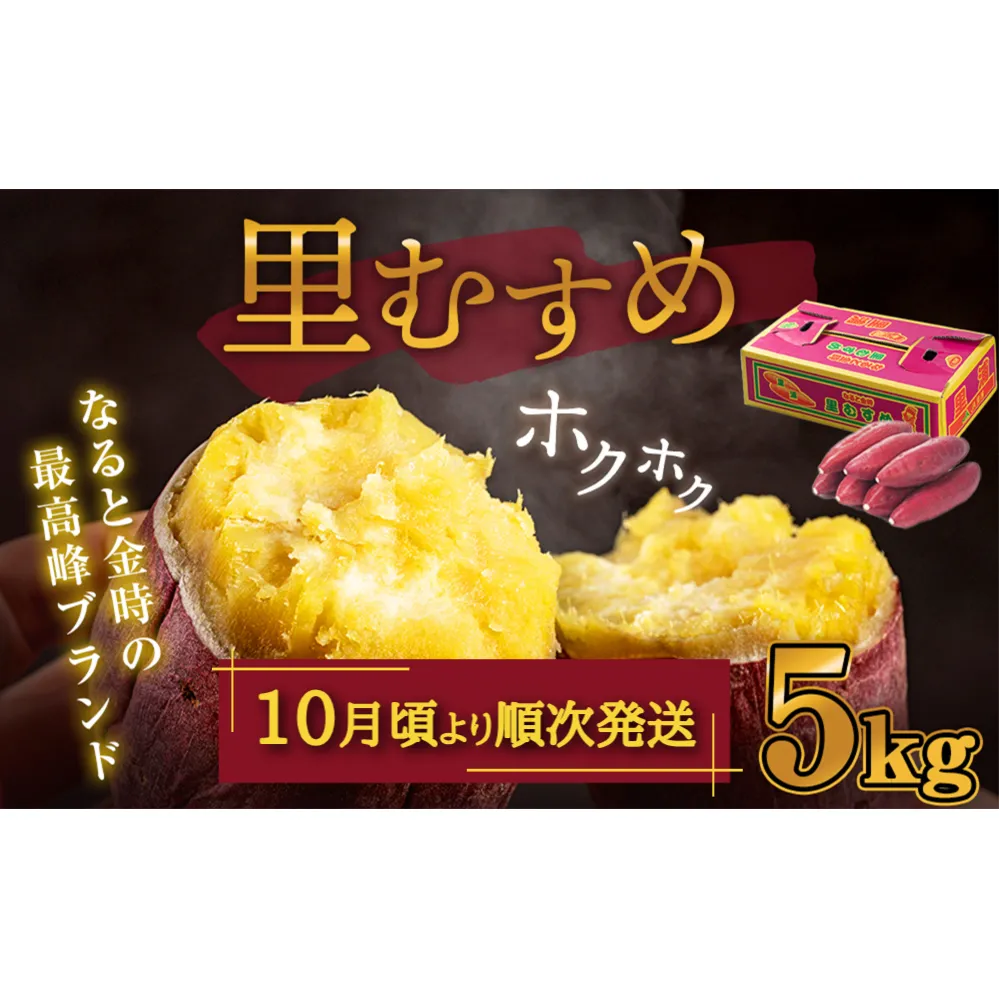 なると金時（里むすめ）5kg さつまいも 鳴門金時 箱入り サツマイモ 野菜 人気 ホクホク さつまいも 野菜 なると金時 里むすめ | さつまいも なると金時 サツマイモ 鳴門金時 さつまいも なると金時 さつまいも