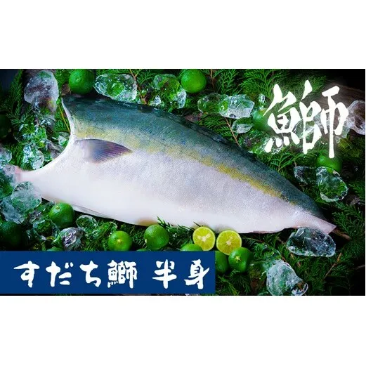 【期間限定・申込は12月12日まで】すだち鰤 半身 約1.5kg 徳島県産 ぶり ブリ ブランド鰤 鳴門 刺身 魚 真空パック すだちブリ ぶり 魚 鰤 ブリ