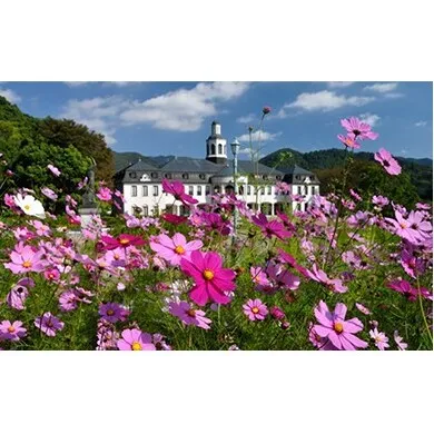 鳴門市ドイツ館・賀川豊彦記念館見学 大人2名分