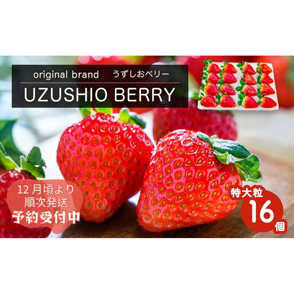 [朝摘みをお届け!][2024年12月頃より順次発送] フルーツガーデンやまがたのいちご「うずしおベリー」特大粒16個 [数量限定] いちご フルーツ 果物 苺 イチゴ 旬の果物 季節の果物 鳴門の果物 季節のフルーツ 旬のフルーツ 鳴門のフルーツ 旬のいちご 鳴門のいちご