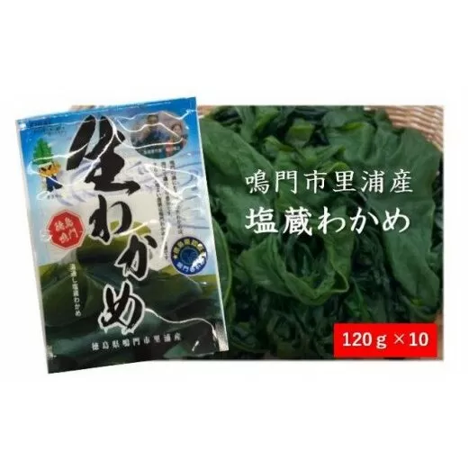 鳴門市里浦産塩蔵わかめ 120ｇ×10袋