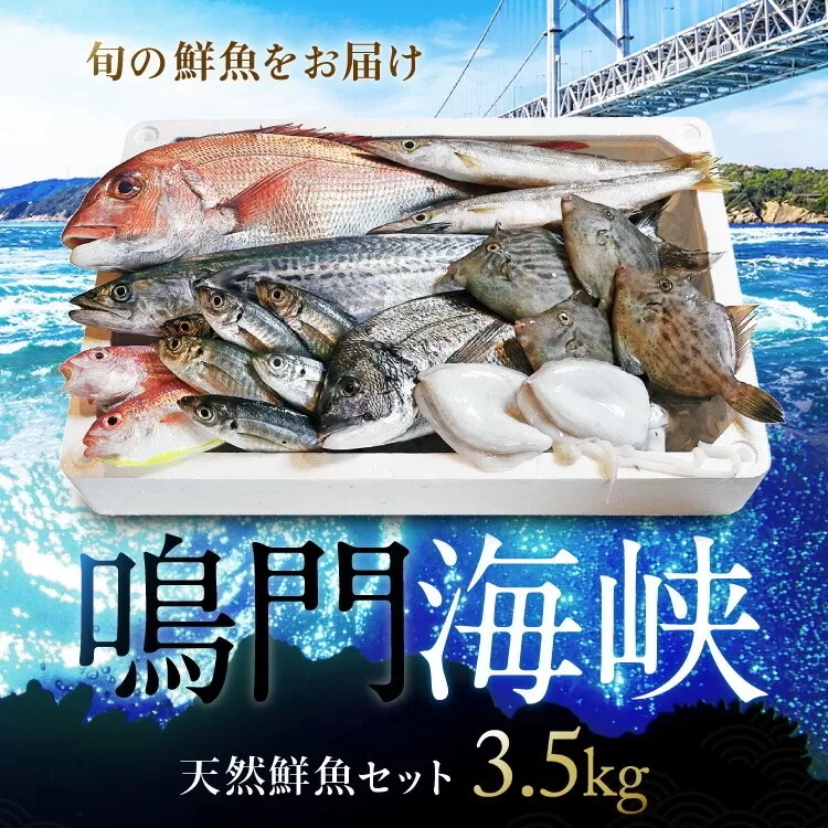 鳴門海峡冷凍鮮魚セット 3.5kg （ 4～5種 ） 訳あり 鮮魚 魚 冷凍 魚介類 海鮮 水産 詰め合わせ 詰合せ お魚 セット 下処理 小分け 鮮魚セット 魚介類 魚種おまかせ 鳴門わかめが必ず入る 訳ありセット | 鮮魚 魚 冷凍 訳あり 鮮魚 魚 冷凍 訳あり 鮮魚 魚 冷凍 訳あり 鮮魚 魚 冷凍 訳あり 鮮魚 魚 冷凍 訳あり