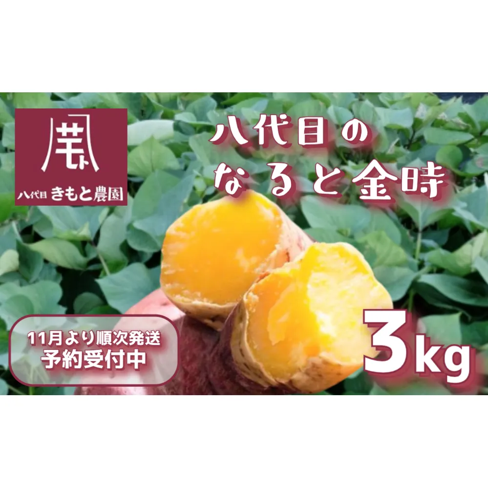 【木元農園】八代目の なると金時 約3kg 【 予約受付中・2024年11月頃より順次発送 】 | 鳴門金時 甘い ホクホク 熟成 産地直送 スイーツ おやつ 焼きいも 天ぷら 干し芋 スイートポテト 離乳食