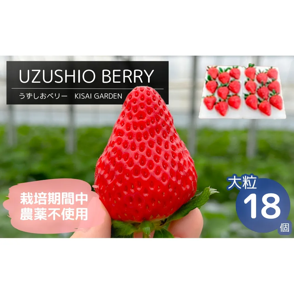 【2025年1月中旬頃より順次発送】KISAI GARDEN うずしおベリー 大粒 18個 【数量限定】 | 栽培期間中農薬不使用 苺 いちご イチゴ 徳島 鳴門 果物 フルーツ スムージー ジャム