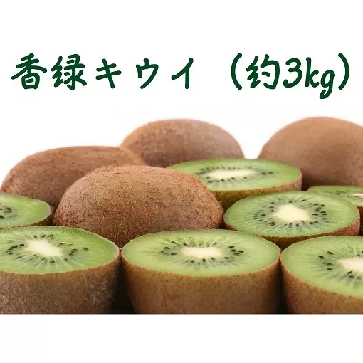 香緑キウイ（約3kg）