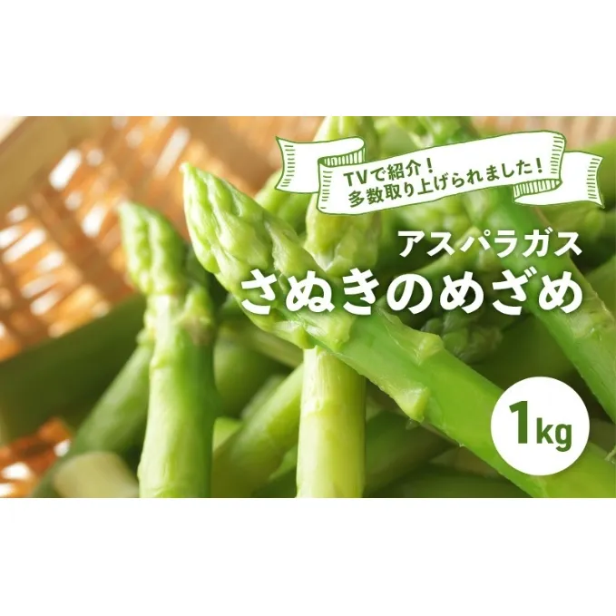 アスパラガス さぬきのめざめ 春芽 1kg アスパラ グリーンアスパラ 野菜 旬 旬の野菜 季節の野菜 産地直送 香川 香川県 丸亀 丸亀市 冷蔵 冷蔵配送 先行 予約 先行予約 2025 2025年 3月以降発送開始