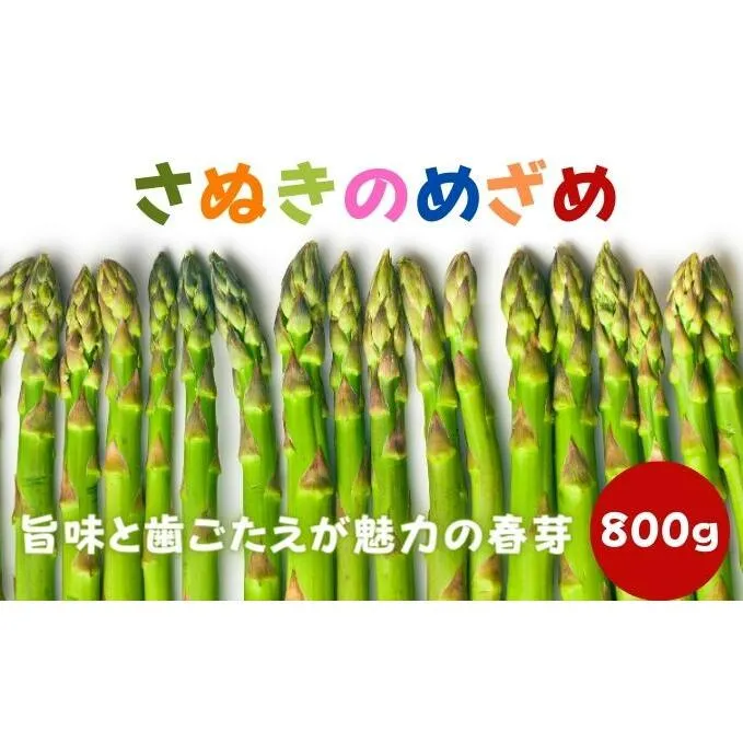 【早出し】さぬきのめざめ春芽（アスパラガス）約800g【1月下旬発送開始】