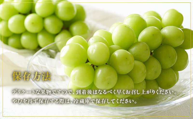 朝採りシャインマスカット 名峰讃岐富士育ち 煌めきの果実｜丸亀市｜香川県｜返礼品をさがす｜まいふる by AEON CARD