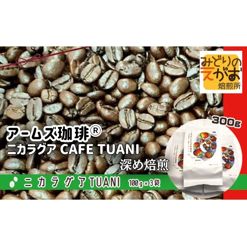 アームズ珈琲(R)　ニカラグア CAFE TUANI 深め焙煎