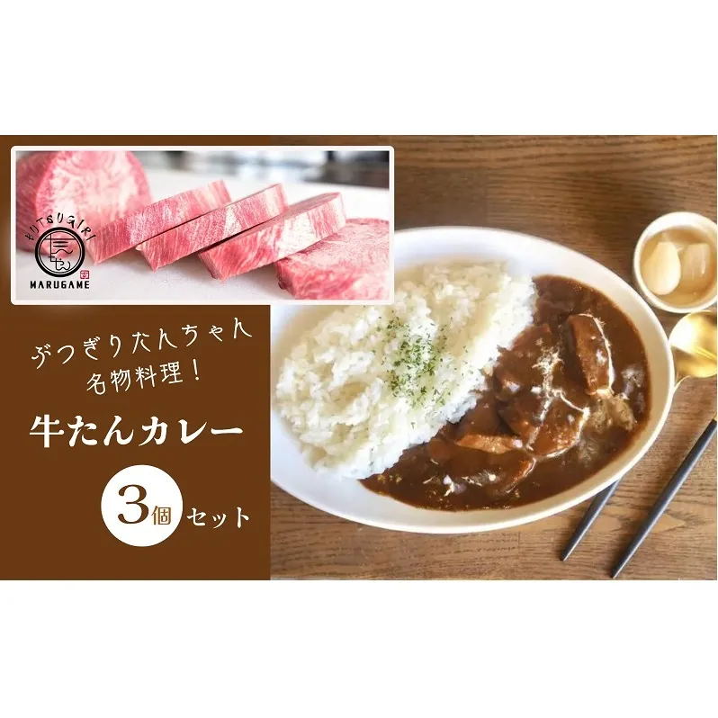 牛タン カレー 200g × 3個 セット ぶつぎりたんちゃん名物料理 牛たんカレー 厚切り 牛タン ビーフカレー 牛肉 牛 ビーフ お肉 肉 惣菜 おかず スープ 冷凍食品 湯煎 レトルト レトルト食品 真空パック 冷凍 冷凍配送 香川県 香川 丸亀 丸亀市