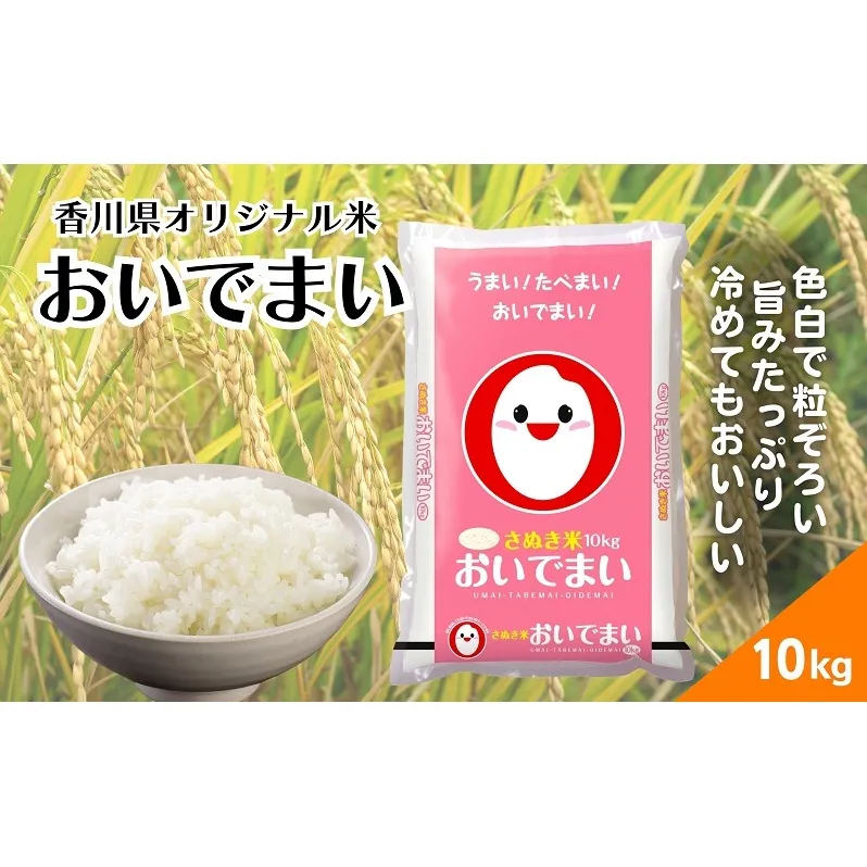 【令和6年産】香川県産 おいでまい 10kg 1袋　米 お米 精米  おいで米 粘り 旨み