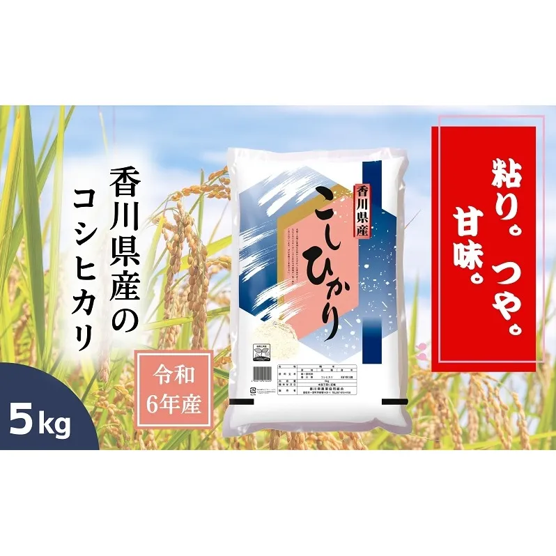 【令和6年産】香川県産 コシヒカリ 5kg 1袋　米 お米 精米 こしひかり 粘り つや 甘味